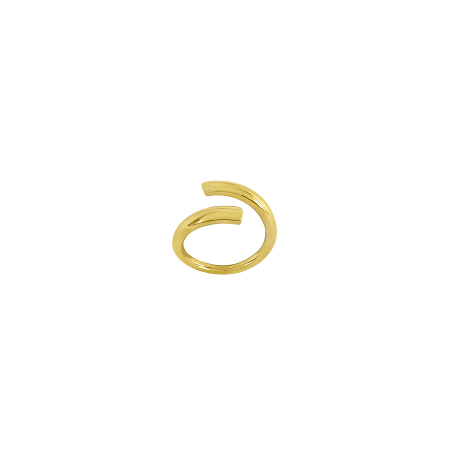 Golden Icon Ring
